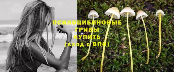 молекула духа Зерноград