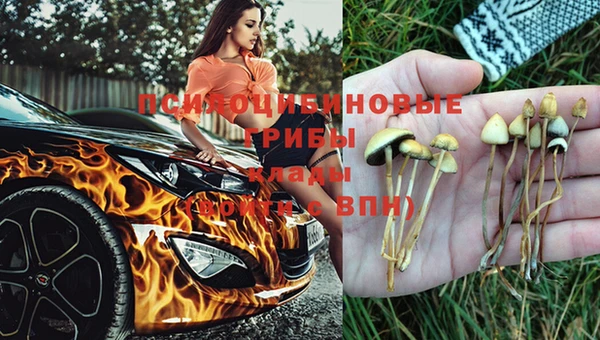 марихуана Горно-Алтайск