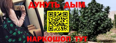 шишки Балаково