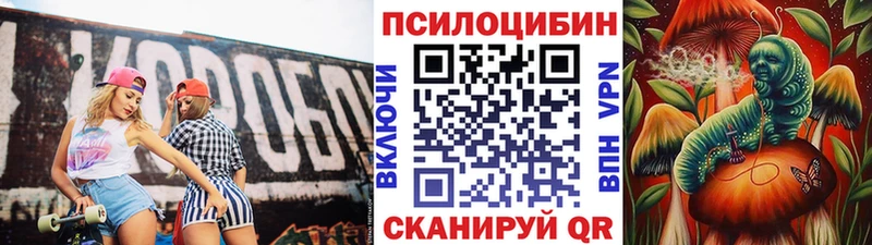 Псилоцибиновые грибы Cubensis купить Северобайкальск