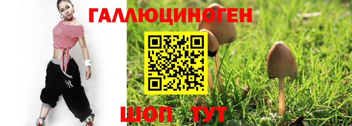 Галлюциногенные грибы Psilocybe Северобайкальск