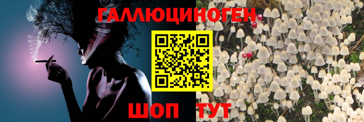 Галлюциногенные грибы GOLDEN TEACHER  Вход с VPN  Северобайкальск 