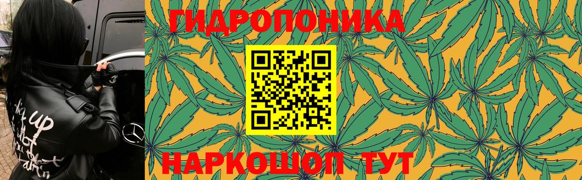 Бошки Шишки OG Kush  Вход с VPN  Шишки марихуана тримм  Северобайкальск  Конопля гибрид 